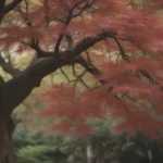 Comprehensive Guide to Growing and Caring for Osakazuki Japanese Maple