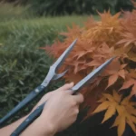 The Ultimate Guide to Pruning Perennials in the Fall