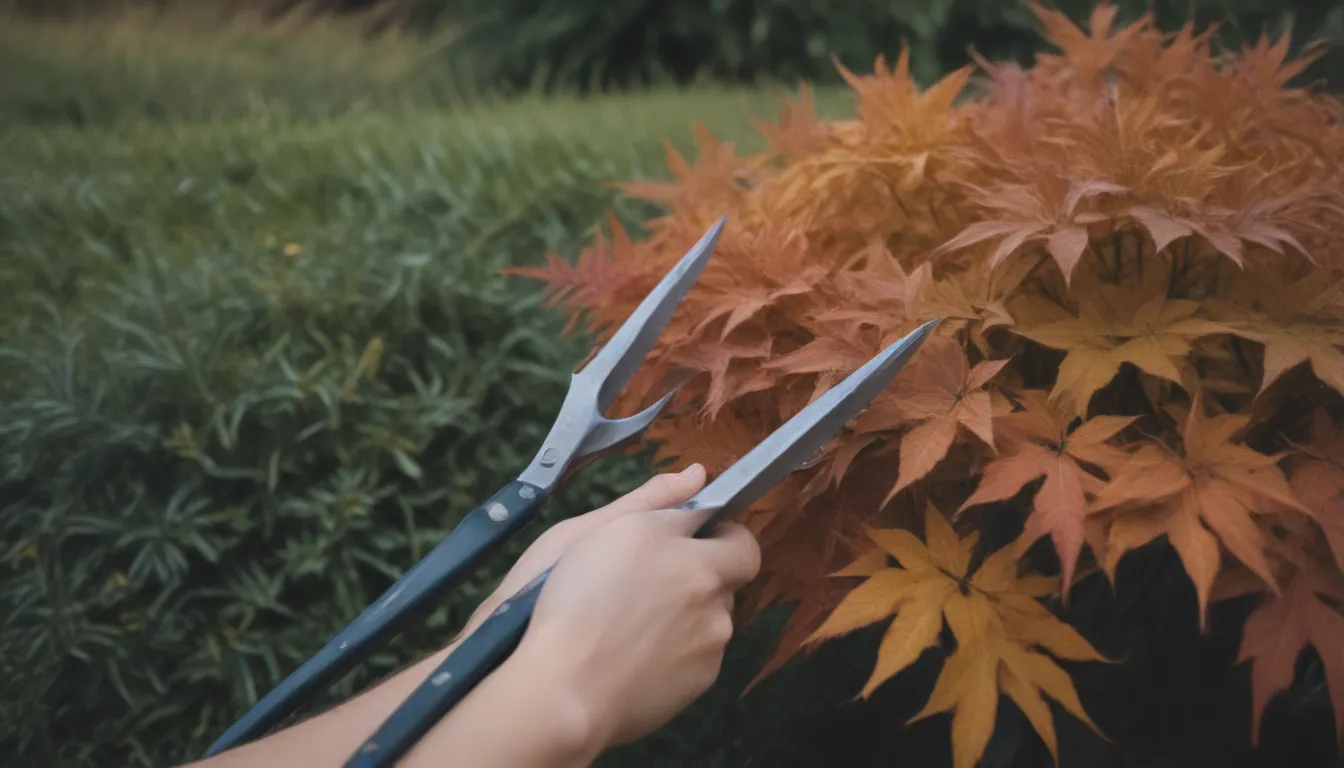 The Ultimate Guide to Pruning Perennials in the Fall