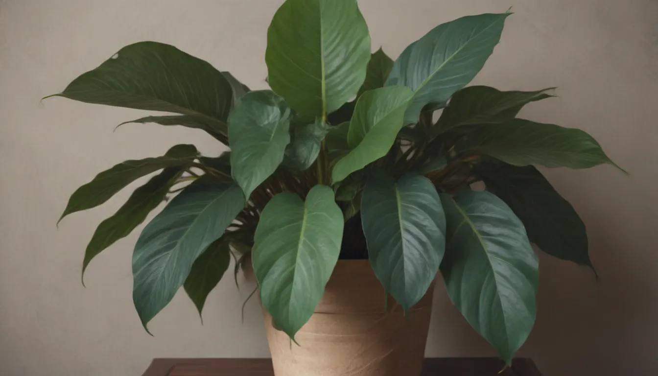 Ultimate Guide to Growing and Caring for Philodendron Melanochrysum