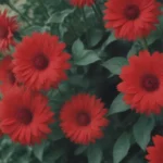 60 Impressive Red Flowers to Liven Up Your Home or Garden