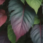 Enhance Your Garden with 24 Stunning Plants with Variegated Leaves