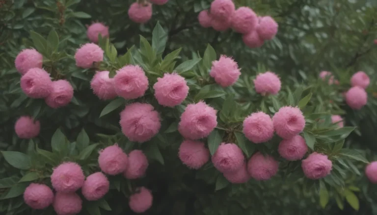 The Ultimate Guide to Growing and Caring for Pink Lemonade Blueberry Shrubs