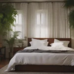 The Benefits of Having Plants in Your Bedroom: Exploring Feng Shui Practices