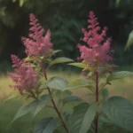 The Ultimate Guide on How to effectively Get Rid of Pokeweed