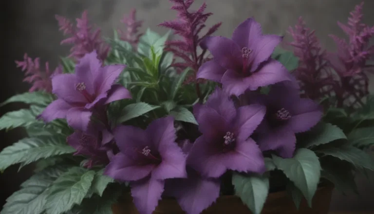 The Ultimate Guide to Growing Purple Indoor Plants