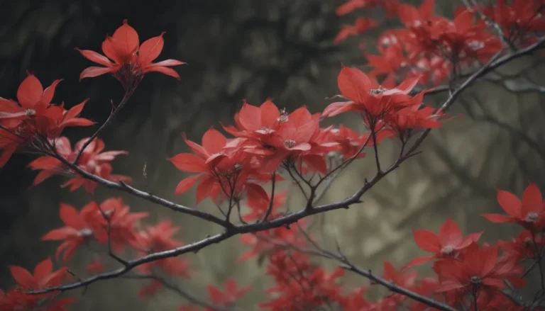 Unveiling the Beauty of Red Twig Dogwood: Everything You Need to Know