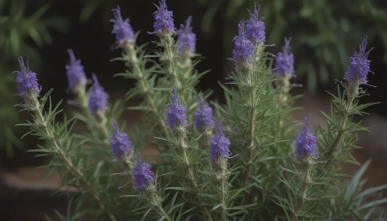 The Ultimate Guide: 25 Best Companion Plants for Rosemary (and What Not to Plant)