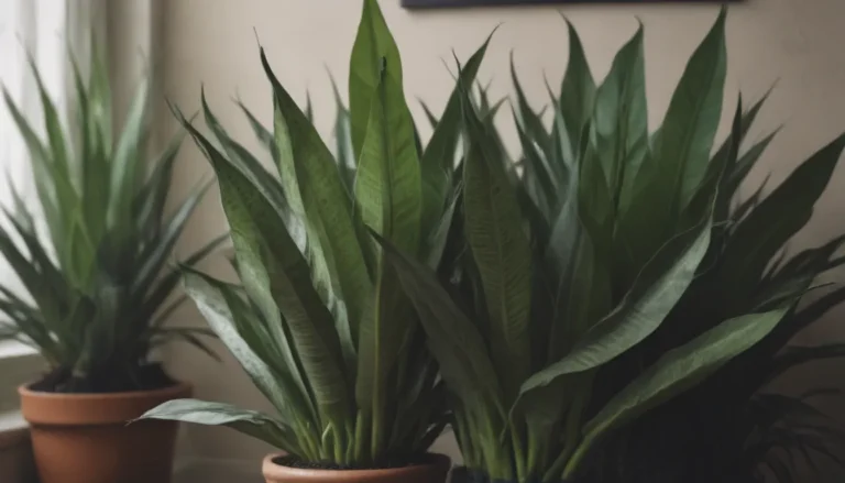 Everything You Need to Know to Grow and Care for Snake Plants