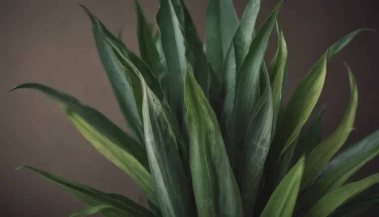 Why Are My Snake Plant Leaves Curling? A Comprehensive Guide to Diagnosing and Treating Common Issues