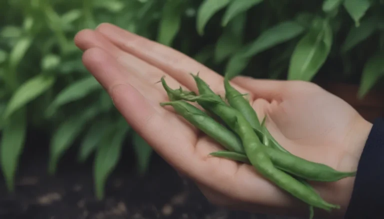 Mastering the Art of Growing and Caring for Snow Peas