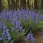 The Ultimate Guide to Growing and Caring for Spanish Bluebells