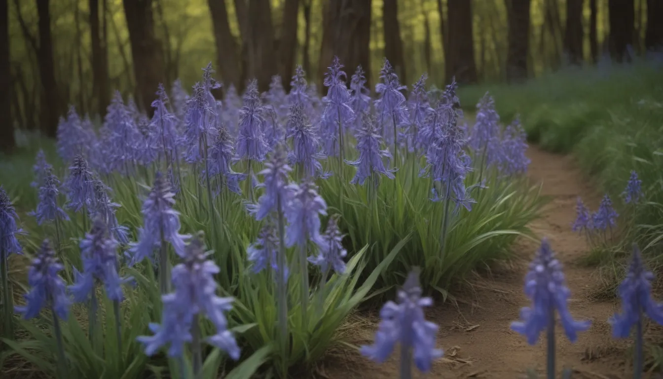 The Ultimate Guide to Growing and Caring for Spanish Bluebells