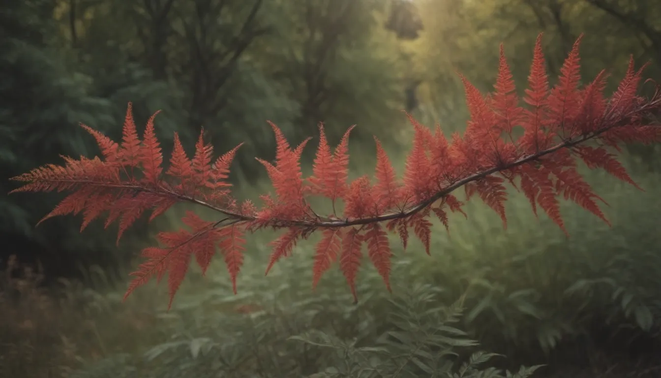 Exploring North American Sumac Trees and Shrubs: A Comprehensive Guide