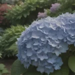 The Comprehensive Guide to Growing and Caring for Tardiva Hydrangeas