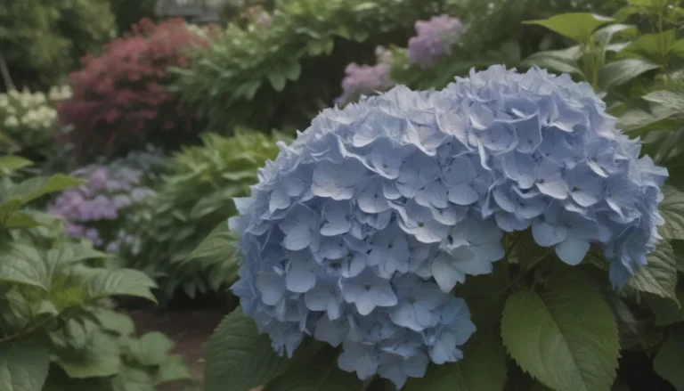 The Comprehensive Guide to Growing and Caring for Tardiva Hydrangeas