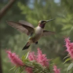 Transforming Your Garden: Trees That Attract Hummingbirds