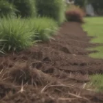 Ultimate Guide to Improving Your Lawn with Mulching