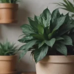 The Ultimate Guide to the Best Houseplants for Beginners