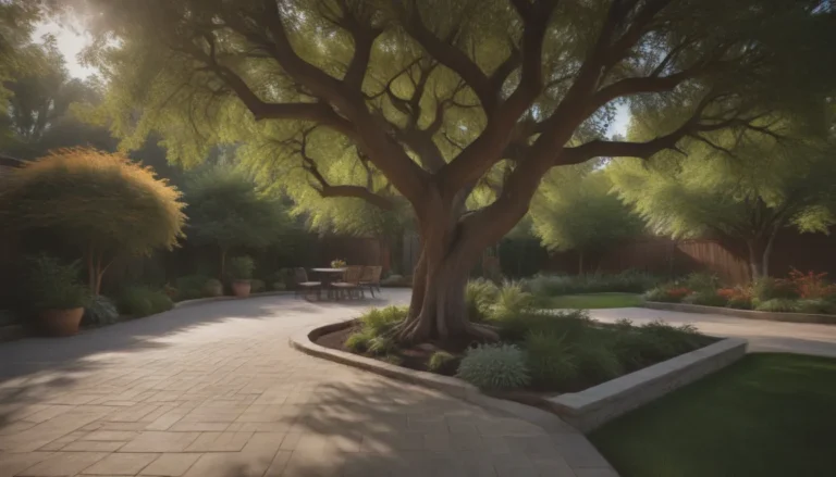 The Ultimate Guide to Choosing the Best Trees for Your Patio