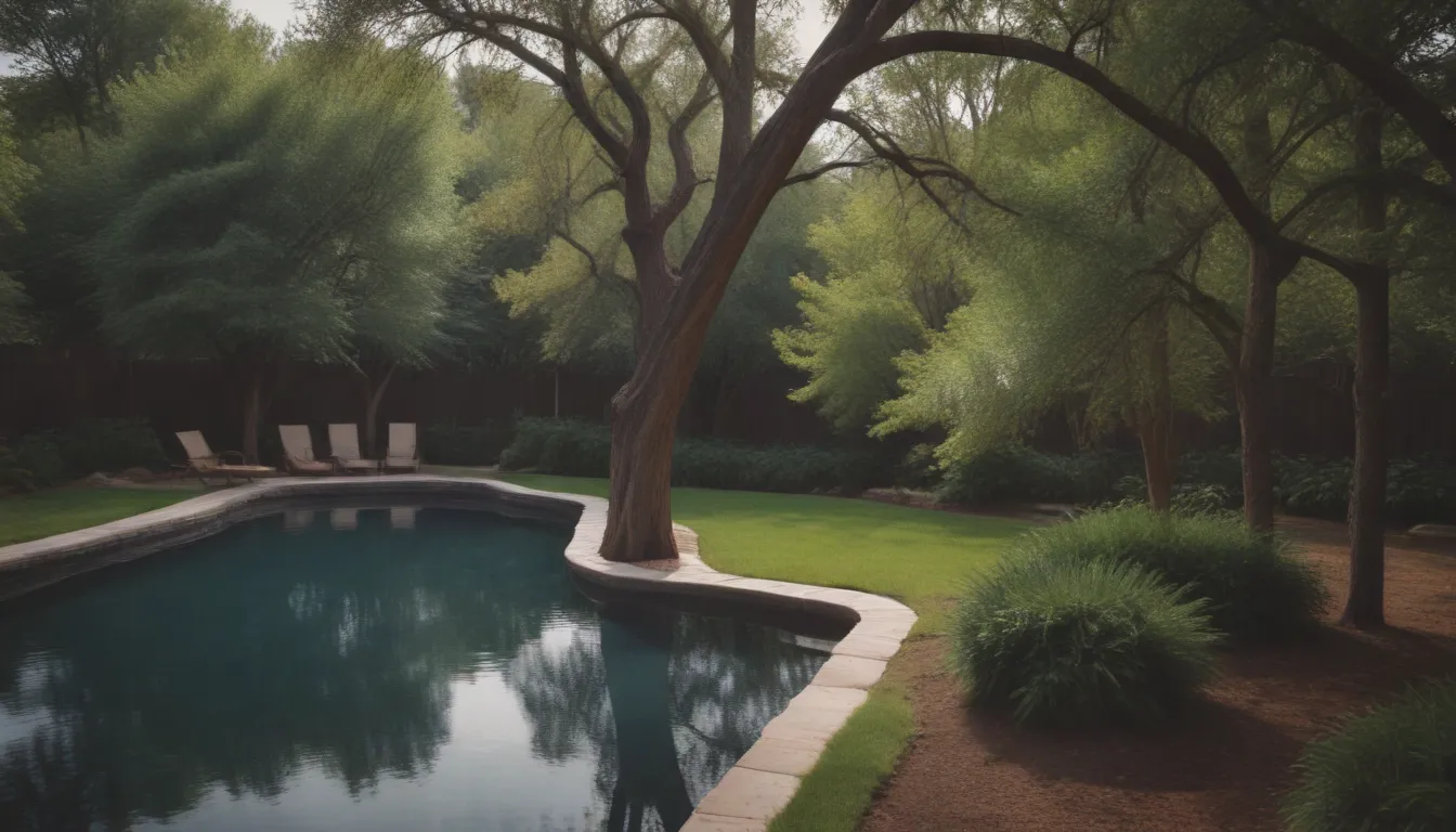 Top Trees for Landscaping Around Your Pool