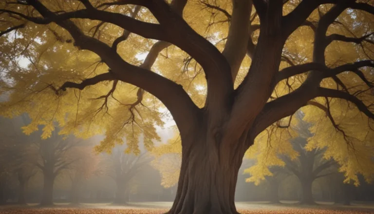 Understanding Tree Care: Reasons Behind Brown or Dying Leaves