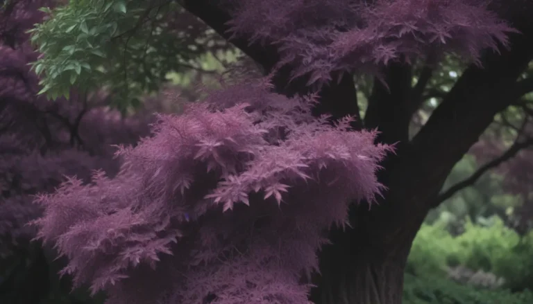 9 Gorgeous Purple-Leaf Trees and Shrubs for Your Garden