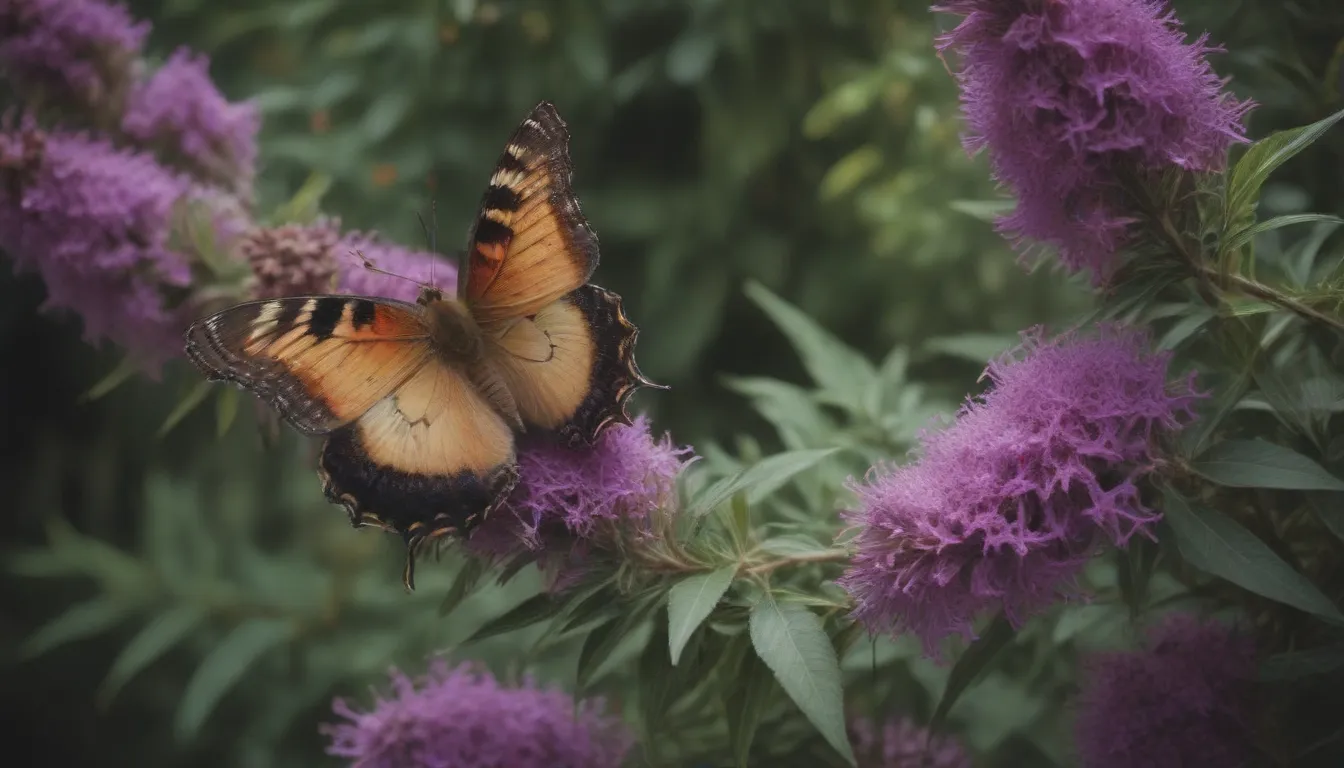 Comprehensive Guide to Growing and Caring for Butterfly Bushes