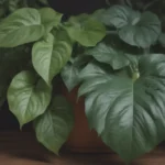 The Ultimate Guide to Pothos Plants: 18 Varieties to Grow and Display in Your Home