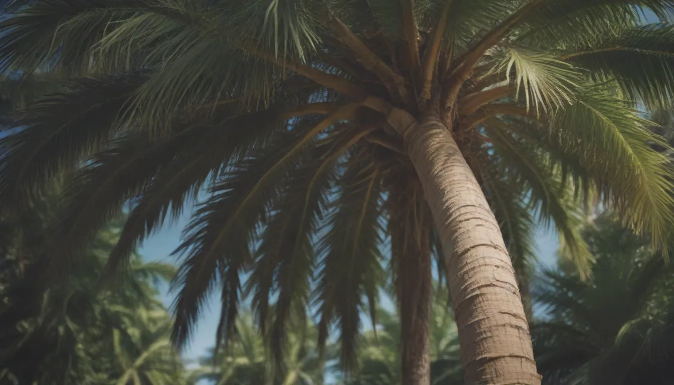 Explore the World of Small Palm Trees for Your Home Garden