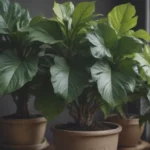 The Ultimate Guide to Growing and Caring for Variegated Fiddle Leaf Fig Trees