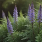 Everything You Need to Know About Growing Veronica Spicata (Spiked Speedwell)