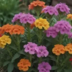 The Complete Guide to Growing and Caring for Wallflower Plants