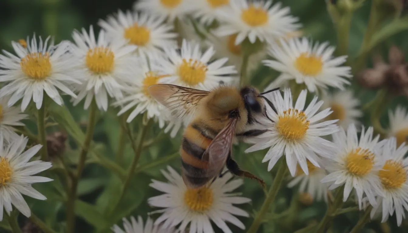 Supporting Pollinators: A Comprehensive Guide to Understanding and Helping These Vital Creatures