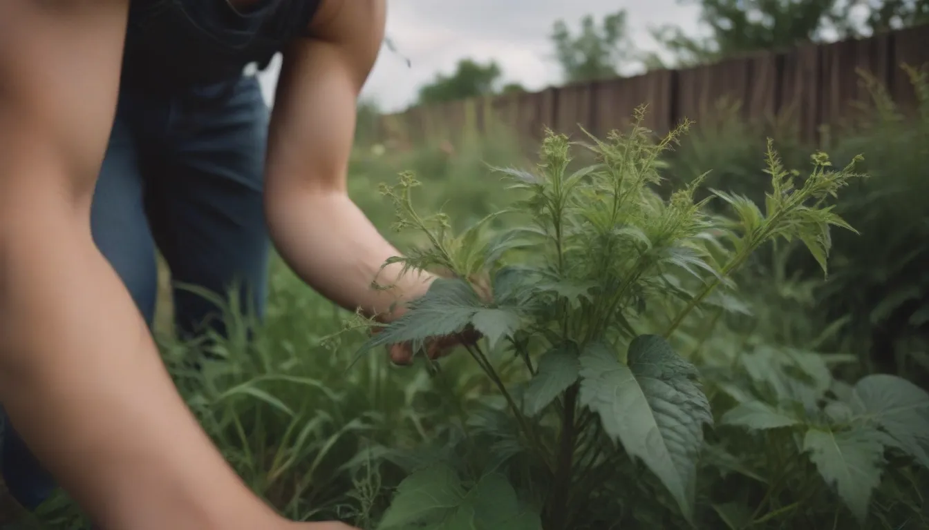 The Ultimate Guide to Permanently Killing Weeds in Your Garden