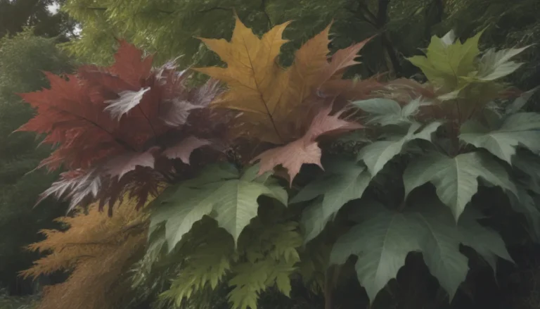 Enhance Your Yard with Trees Featuring Large Leaves: 10 Options to Consider