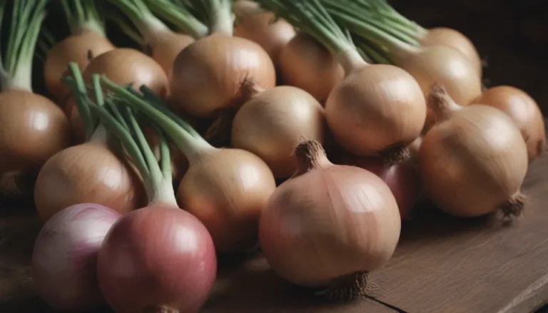 The Complete Guide to Harvesting, Curing, and Storing Onions at Home