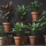 When to Repot Your Houseplant: 6 Signs and Step-by-Step Guide