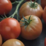 Why Your Tomatoes Might Not Be Turning Red: A Comprehensive Guide