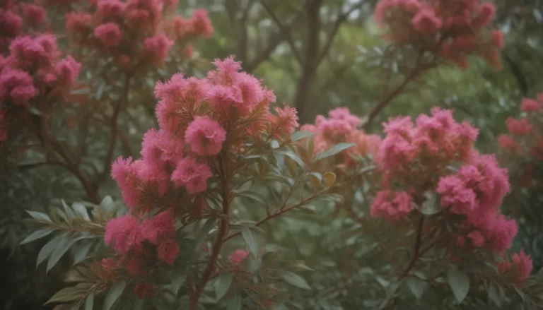 Understanding Why Crepe Myrtle Shrubs Develop Brown Leaves