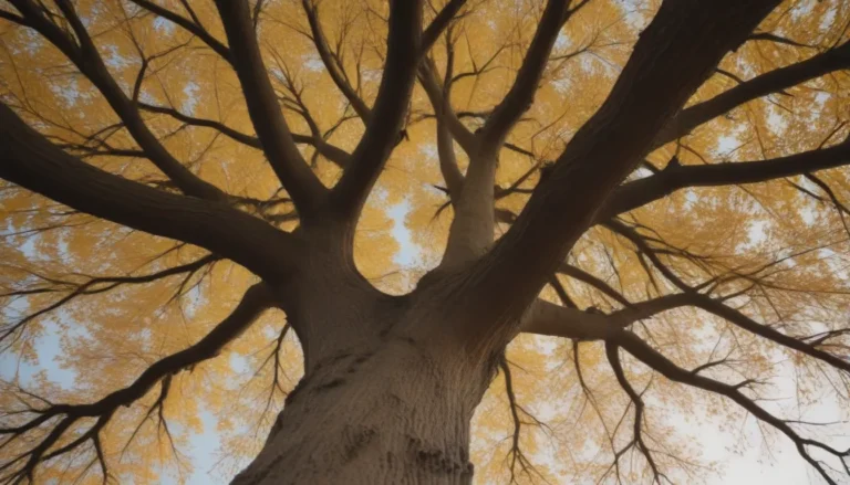 The Science Behind Why Trees Shed Their Leaves