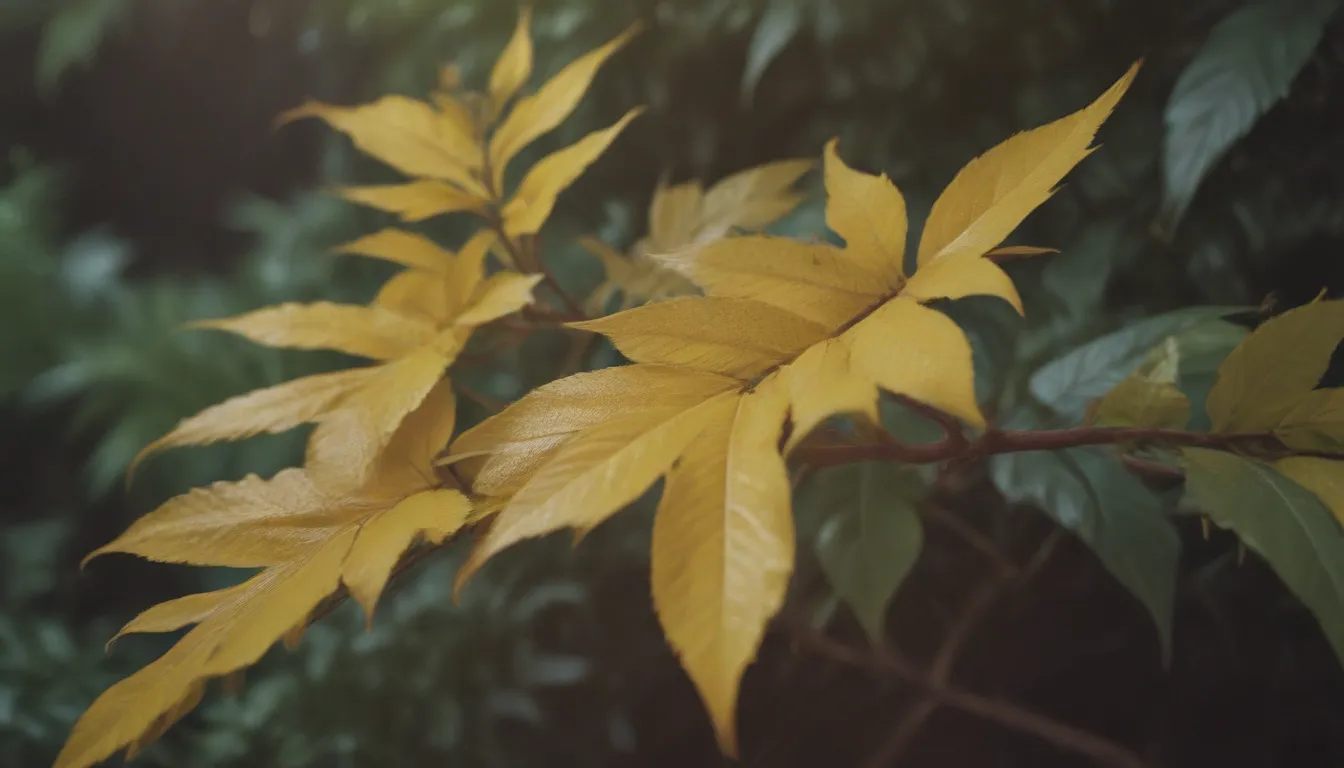 Understanding Why Your Outdoor Plant Leaves Turn Yellow