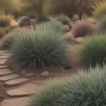 Ultimate Guide to Xeriscape Landscaping: Everything You Need to Know