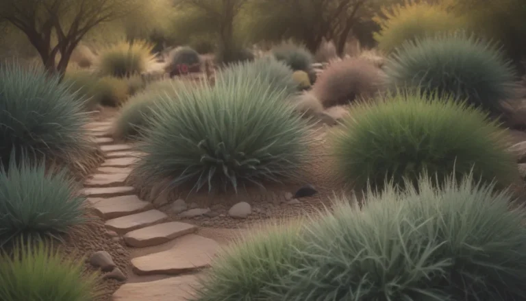 Ultimate Guide to Xeriscape Landscaping: Everything You Need to Know