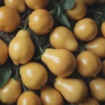 Everything You Need to Know About Growing and Caring for Yellow Pear Tomatoes