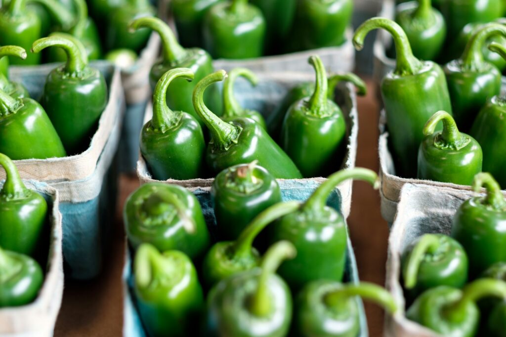 Green jalapeno pepper in basket