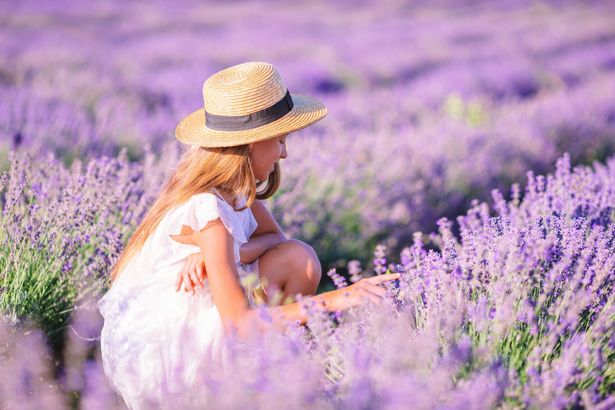 Woman in lavender flowers field in white dress and hat